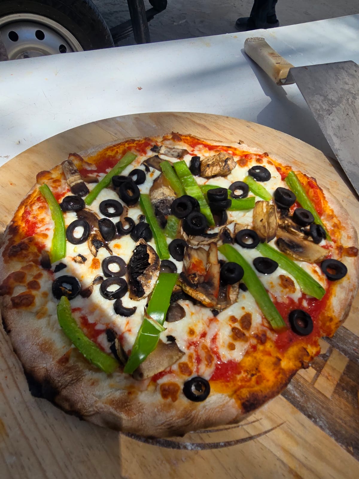 Vegetarian napoletana pizza with mushrooms, peppers and black olives